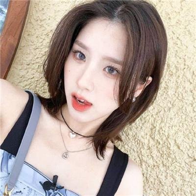 爱在哈佛国语